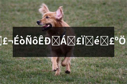 ������t(y��)�����U��ԃ��������t(y��)�����U��ԃ���ǻ��t(y��)������ݷ���(w��)